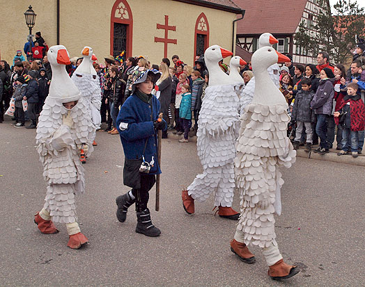 Hailfinger Schnattergees