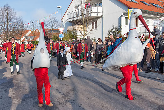 Narrentreffen Sachsenheim