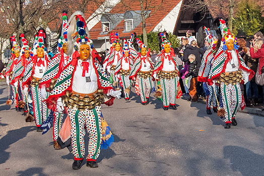 Narrentreffen Sachsenheim