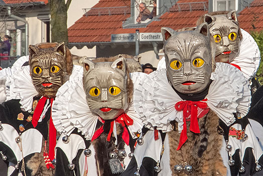 Narrentreffen Sachsenheim