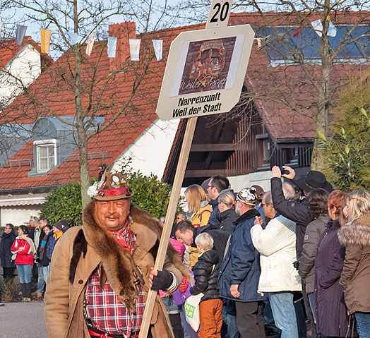 Narrentreffen Sachsenheim