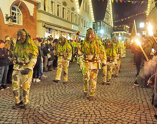 Jubilumsumzug Schlehengeister 2016