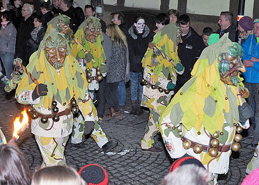 Jubiläumsumzug Schlehengeister 2016