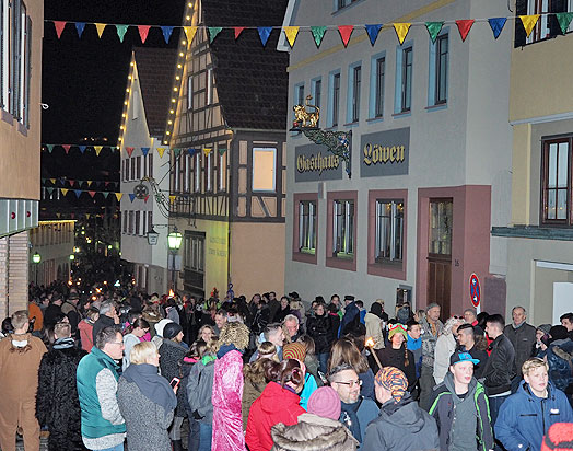 Jubilumsumzug Schlehengeister 2016