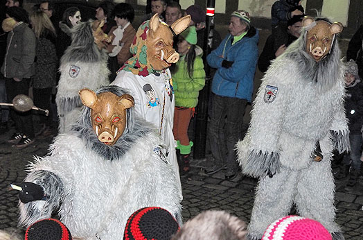Jubiläumsumzug Schlehengeister 2016