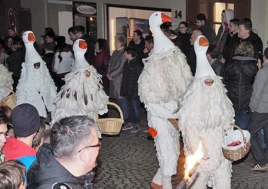 Jubiläumsumzug Schlehengeister 2016