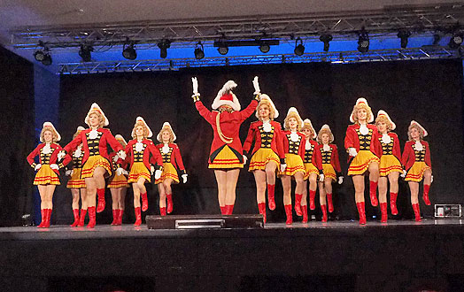 Hexenball 2016 der Narrenzunft-AHA