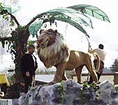 Tarzan